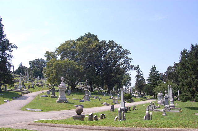 [Laurel Hill Marketplace 013[3].jpg]