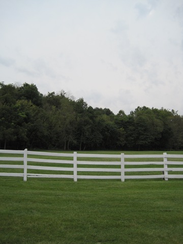 [September20090235.jpg]
