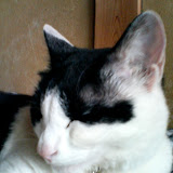 Unnamed