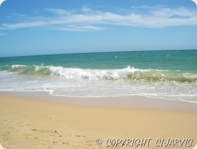 IMGP0779