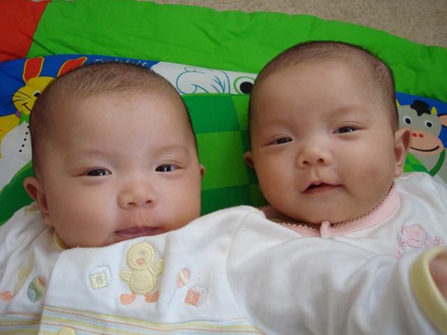 [DSC006126.jpg]