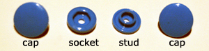snaps