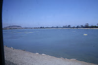 IMG_4305.JPG