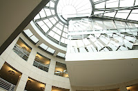 IMG_4463.JPG
