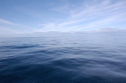 _DSC9083.jpg