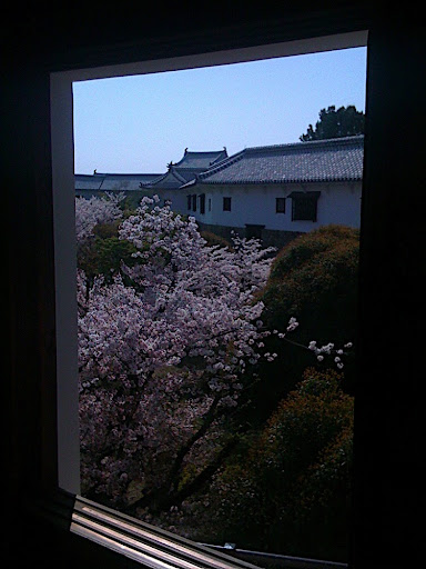Hanami Within Himeji