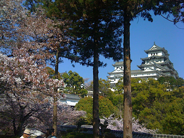 Himeji Castle with Sakura and Trees