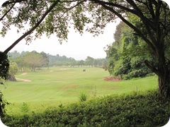 Golfcourse