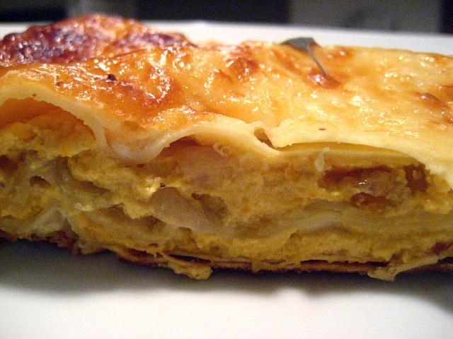 [squash lasagne[5].jpg]