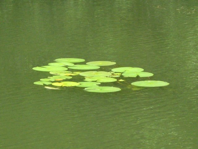 [summer 2009 075[13].jpg]