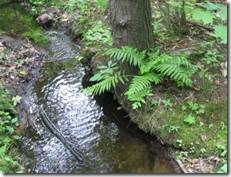 clip_image006[4]