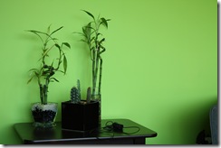 IMG_2418 IMG_2418
