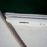 gelcoat voids.