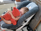 A happy baby napping in the cockpit with red bear.