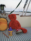 Red Bear really tide one on!