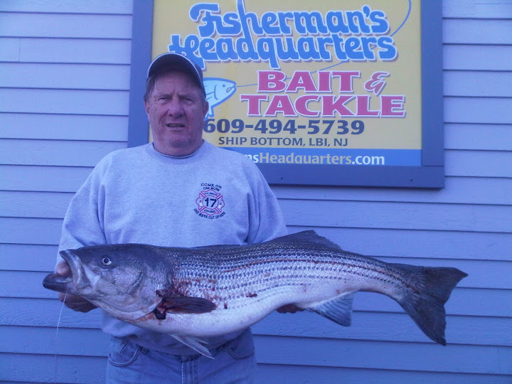 striper1.jpg ibso striper