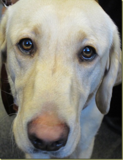 A close up of Reyna's face as we said goodbye to her.