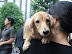 DSC02455.JPG