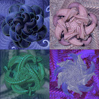 Fractals - March 2010.jpg