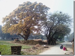 paakhee paakhee