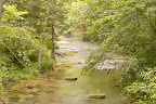 SDIM3431_LR_Import.jpg