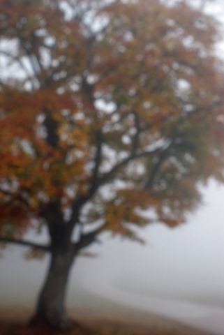 [2010 10 10_0479_modifiÃ©-1[5].jpg]