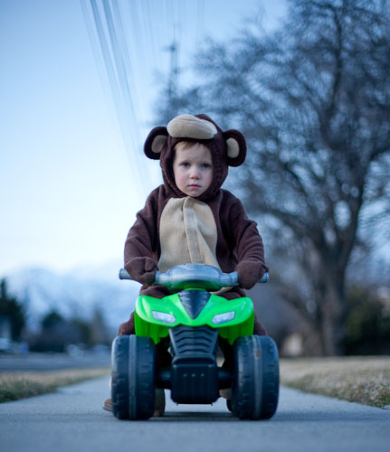 20090228_6563.jpg.jpeg