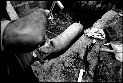 8_Oliver_Weber_Matanza_TWL.jpg
