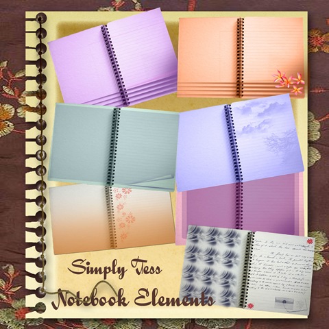 [Simply Tess Notebook Preview[5].jpg]