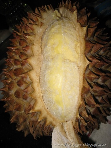 [Durian15.jpg]