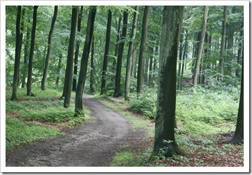 rudeskov path