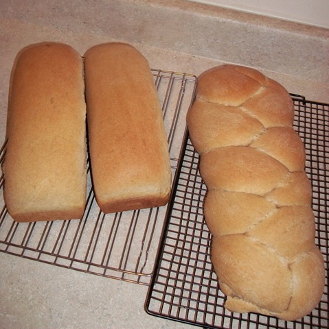 [bread-loaves3.jpg]