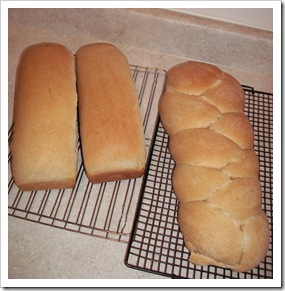 bread loaves