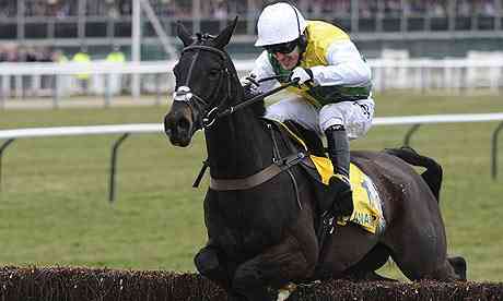 Tony McCoy