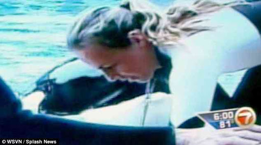 Dawn Brancheau was filmed stuff oneself the kiiller whales customarily moments prior to she was pounded and killed at SeaWorld in Florida