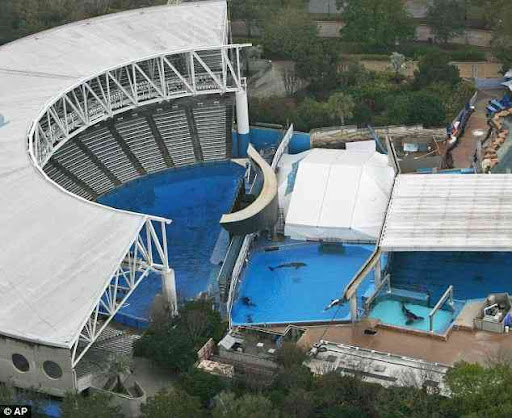 The SeaWorld play ground in Orlando, Florida, and the pool, right, where Dawn Brancheau died