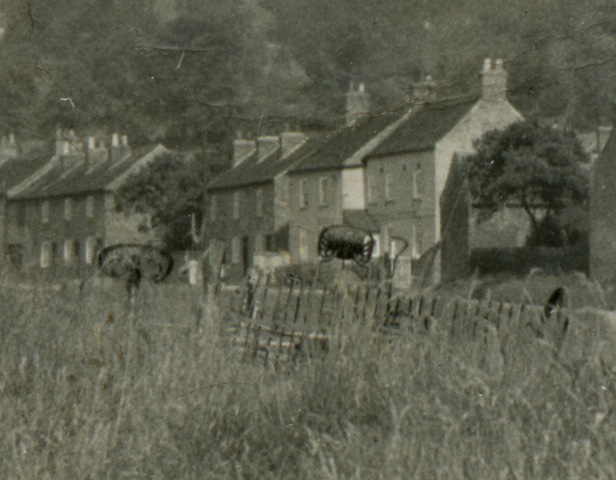 [BWDetail33.jpg]