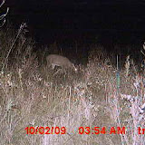 MDGC0012.JPG