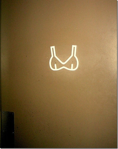 Funny toilet signs around the world (2)