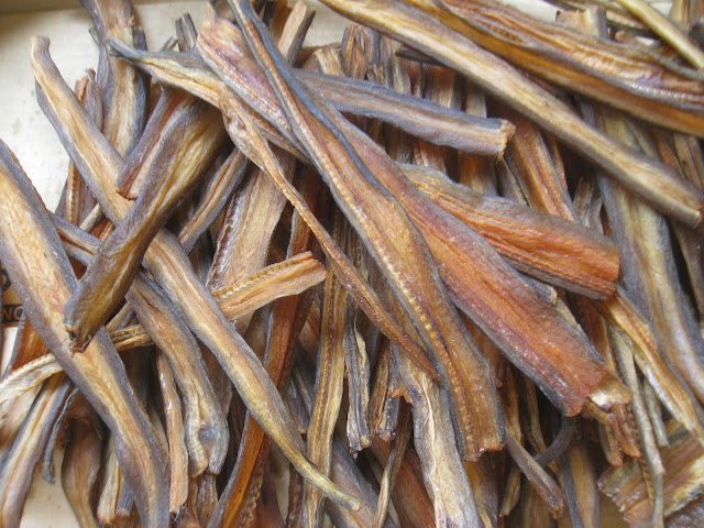 CHÌNH MỠ