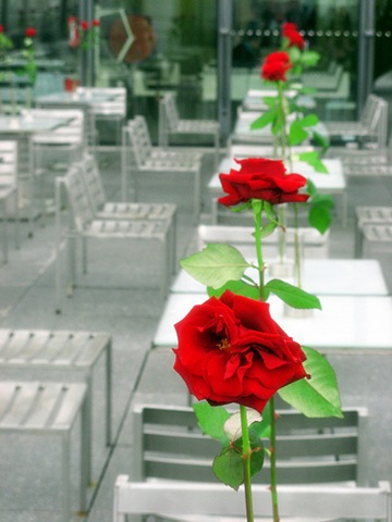 [pompidou restaurant rose[22].jpg]