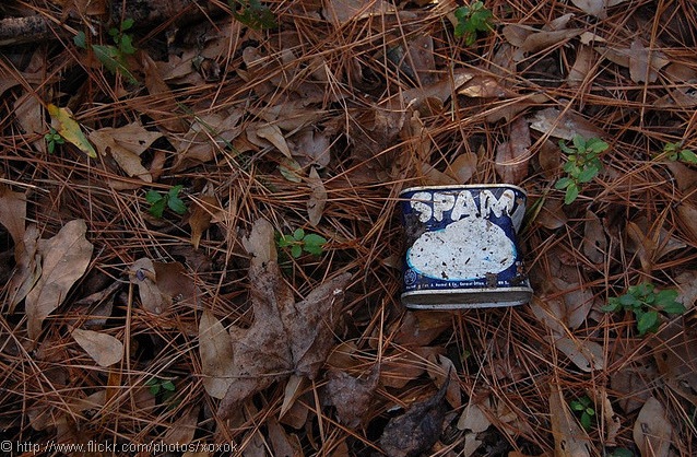 [Untitled  Flickr - Photo Sharing! - Windows Internet Explorer 2162011 42822 PM.bmp[12].jpg]