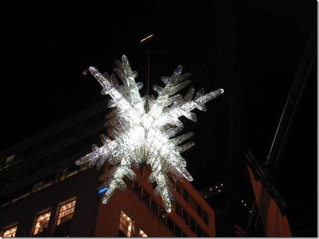 NYC Dec 2008 034