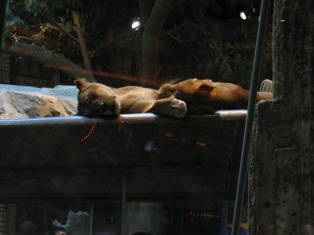 [December 2009 038[3].jpg]