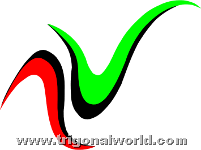 [logo.nawala.final.www.trigonalworld.com[6].png]