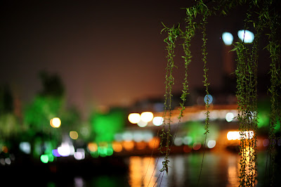 IMG_7420.JPG
