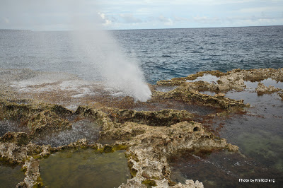 IMG_8017.jpg