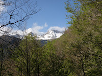 20110430_10.JPG Photo