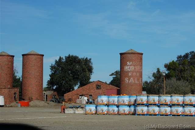 [PumpkinFarm 001[10].jpg]
