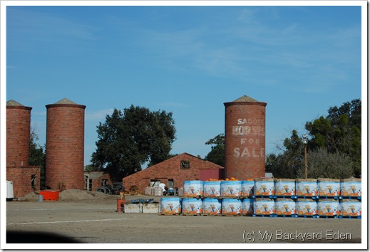 PumpkinFarm 001
